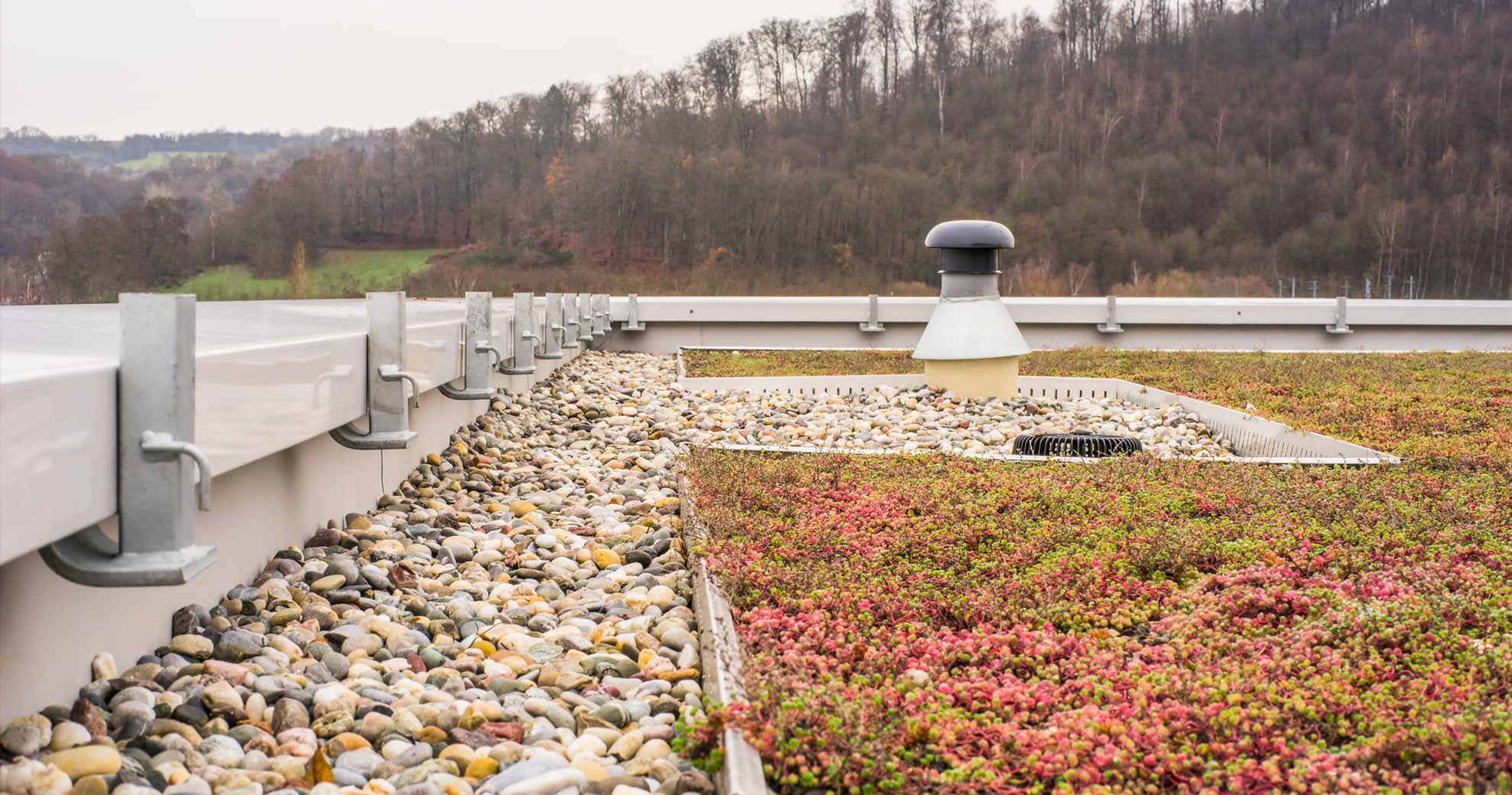 Pflege von Dachbegrünung und Solaranlagen