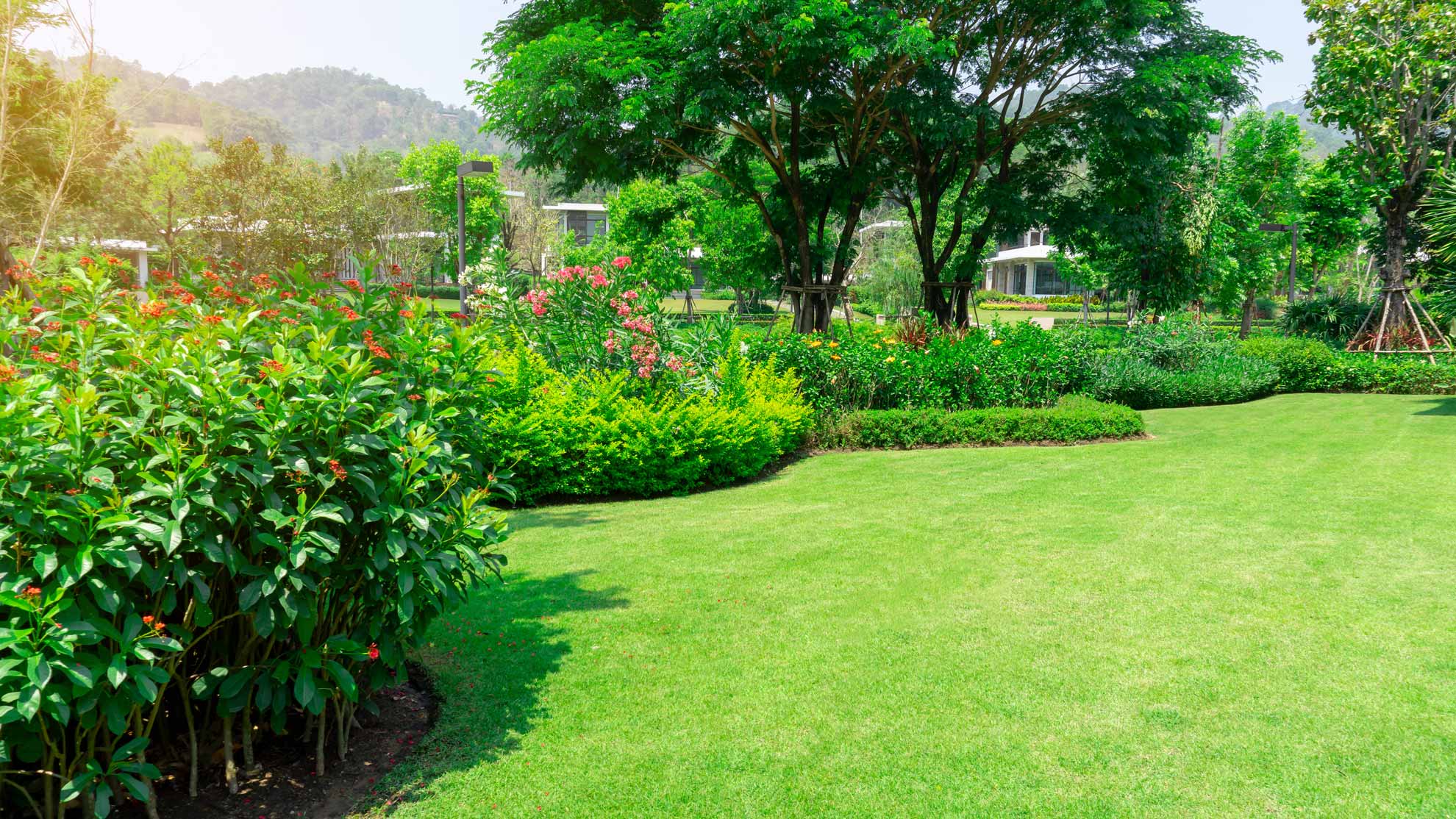 gartenpflege_garten.jpg
