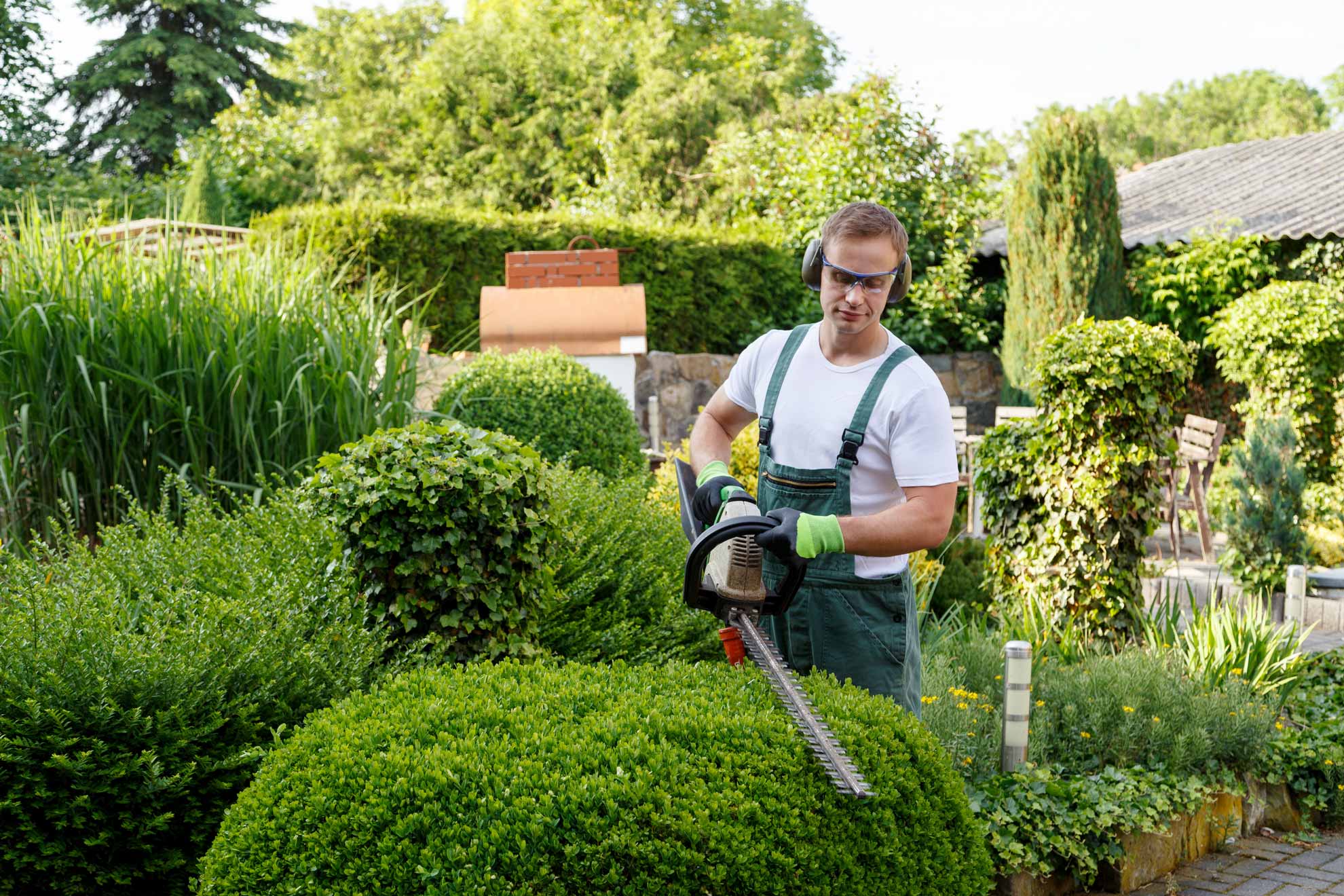 gartenpflege_hecke.jpg