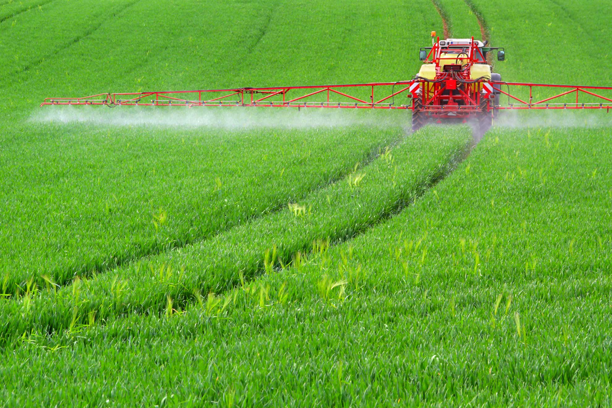 Pflanzenschutz für ein Feld
