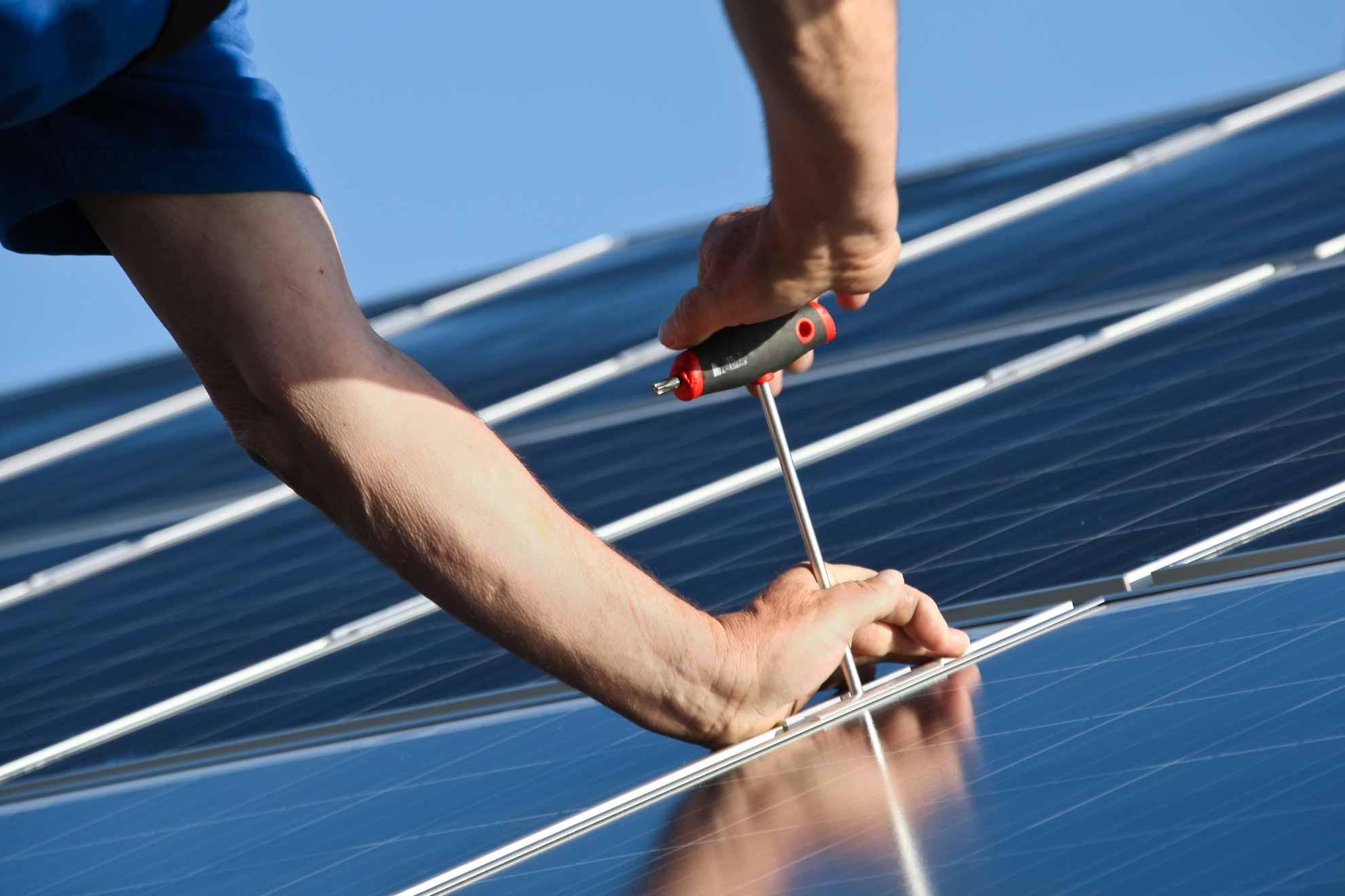 Pflege von Dachbegrünung und Solaranlagen