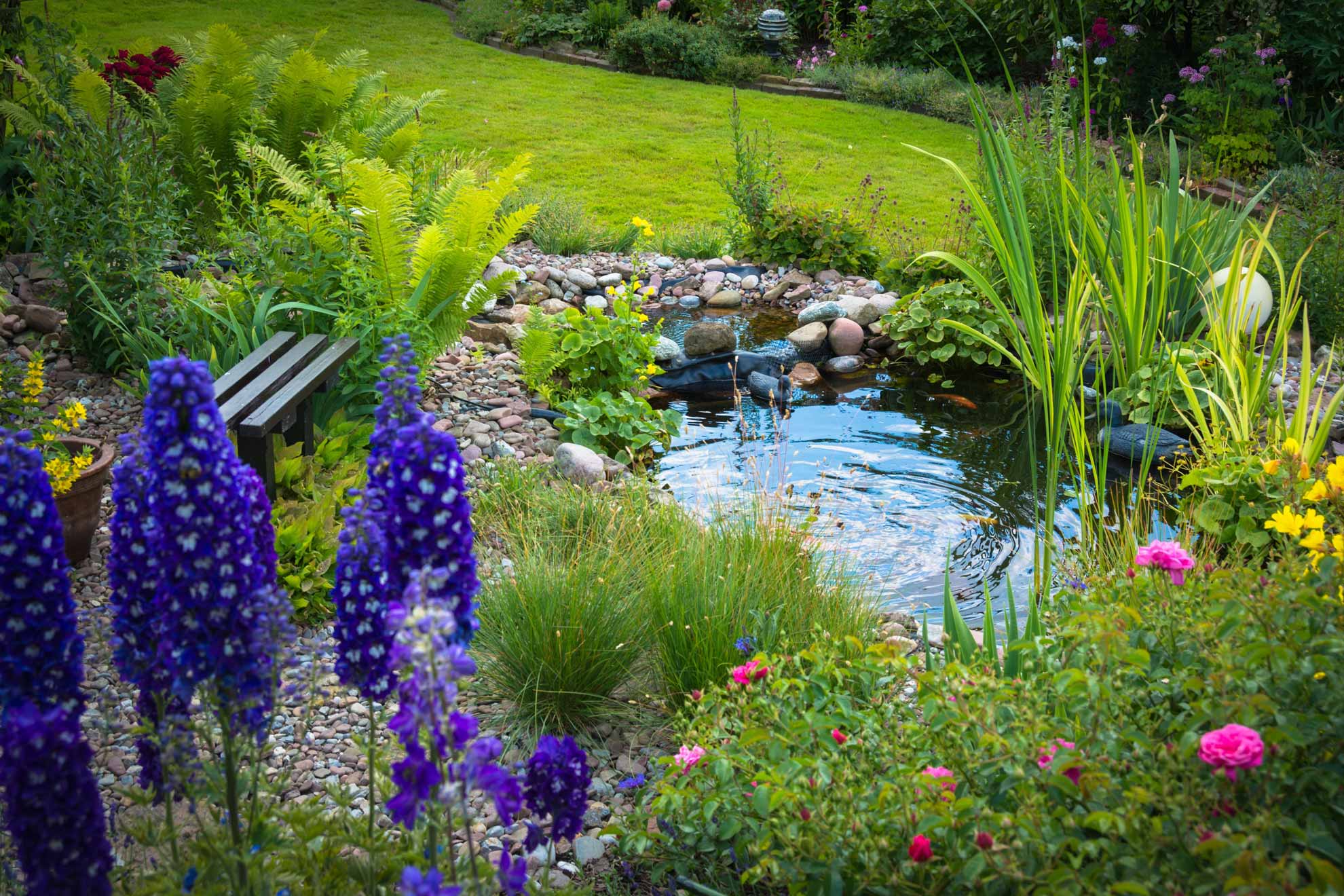 teich_garten_1.jpg